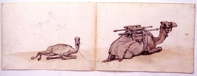 Zwei Skizzen von Dromedaren von Carl Haag