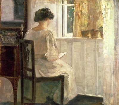 Mädchen liest in einem sonnendurchfluteten Raum von Carl Holsoe