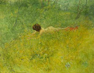Im Gras von Carl Larsson