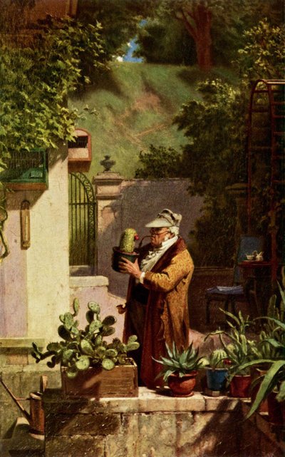 Kaktus von Carl Spitzweg