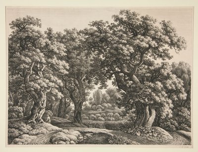 Waldlandschaft von Carl Wilhelm Kolbe the elder