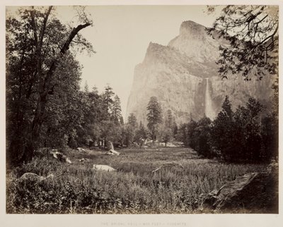 Brautschleier, Yosemite, um 1865-1866 von Carleton E. Watkins