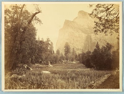 Pohono, Brautschleier, Yosemite von Carleton E. Watkins