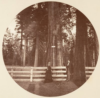Auld Reckie. C. Grove, ca. 1878 von Carleton Emmons Watkins