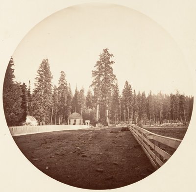 Die Wächter. C. Grove, ca. 1878 von Carleton Emmons Watkins