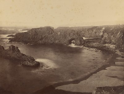 [Blick auf die Pazifikküste] / [Mendocino-Küste] von Carleton Watkins
