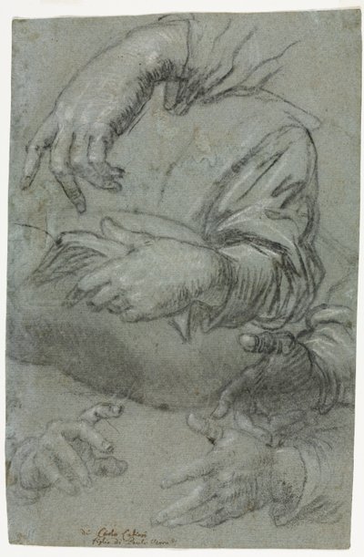Studien von Händen (recto) von Carletto Caliari