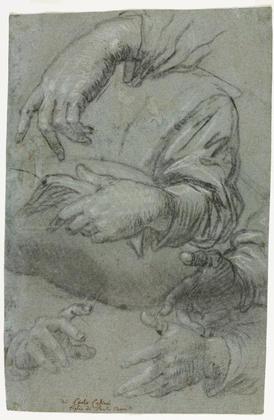 Studien von Händen, ca. 1586 von Carletto Caliari