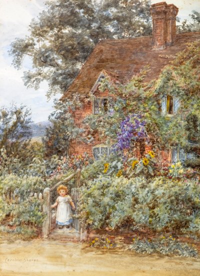 Ein Blick von Caroline Paterson