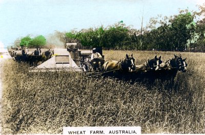 Grenfell-Weizenfarm, Australien, um 1920er Jahre von Cavenders Ltd