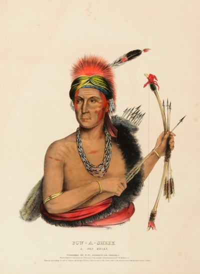 POW-A-SHEEK. EIN FUCHS HÄUPTLING. von Charles Bird King