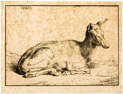 Eine Hirschkuh von Charles Emile Jacque
