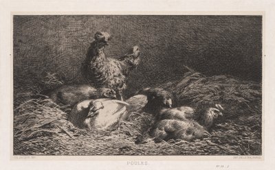 Hühner Poutes, 1867 von Charles Emile Jacque