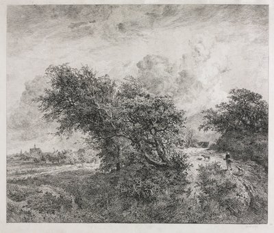 Das Dickicht, 1855 von Charles Francois Daubigny