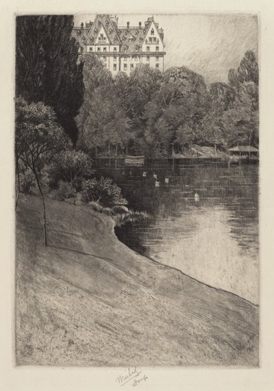 Ein Stück Central Park von Charles Frederick William Mielatz