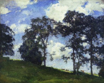Ruf des Westwinds von Charles Harold Davis