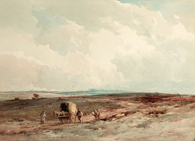 Im Ashdown Forest Reserve, 1925 von Charles Harrington