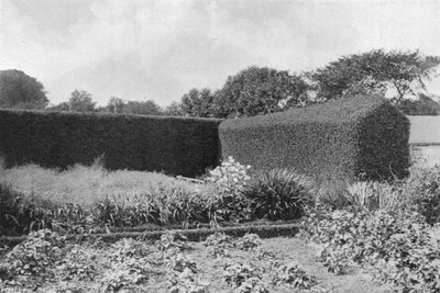 Buchsbaumhecken im Küchengarten von Charles Latham