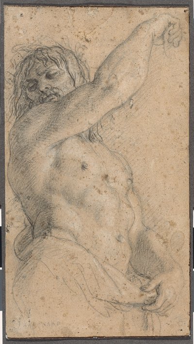 Studie für einen Herm von Charles Le Brun