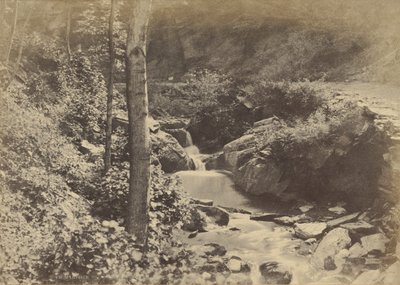 Das Schweizer Tal in St. Goarshausen von Charles Marville