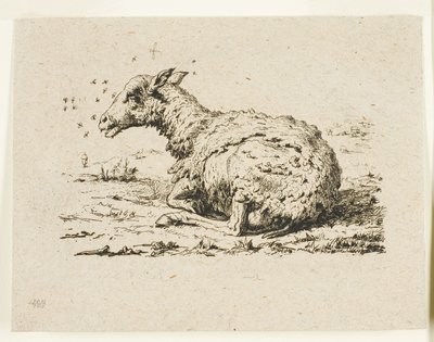 Die Schafe und die Fliegen von Charles Meryon