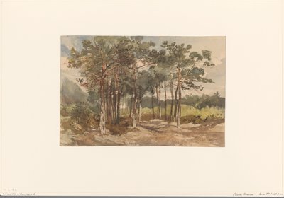 Baumgruppe im Wald bei Driebergen von Charles Rochussen