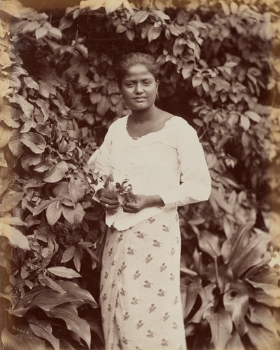 Singhalesen von Charles T. Scowen