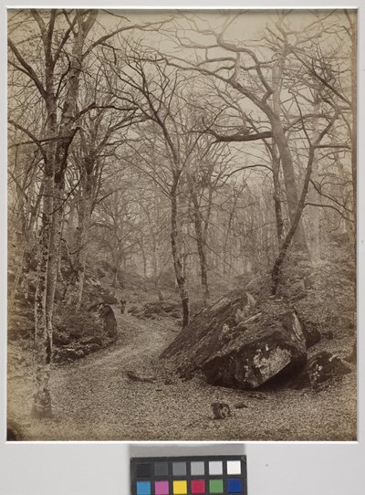 Fontainebleau, ca. 1870 von Charles Victor Famin