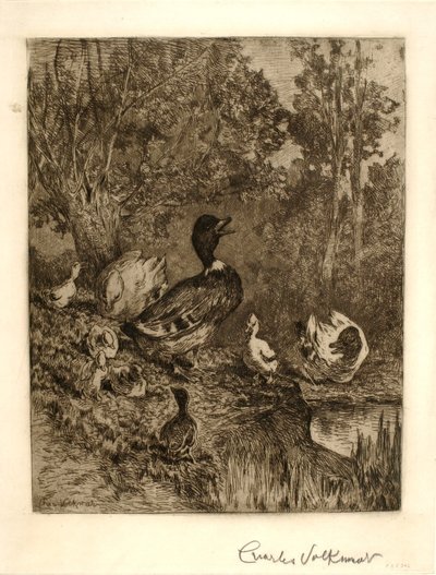 Kopf der Familie von Charles Volkmar