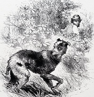 Ein Wilderer mit seinem Lurcher von Charles Whymper