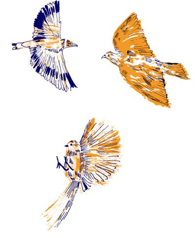 Vögel, 2020 von Charlotte Orr
