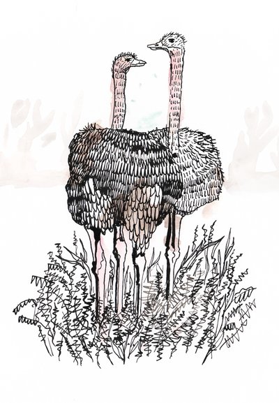 Flamingos, 2018 von Charlotte Orr