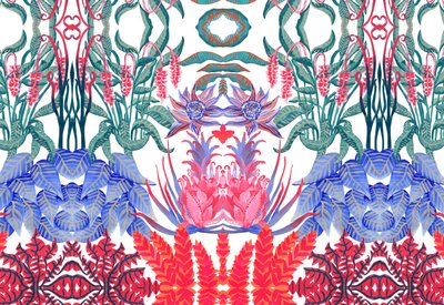 Dschungel Jim, 2015 von Charlotte Orr