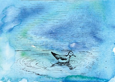 Die Geschichte der Möwe, 2020 von Charlotte Orr