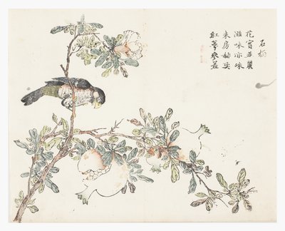 Senfkorngarten von Chinese School