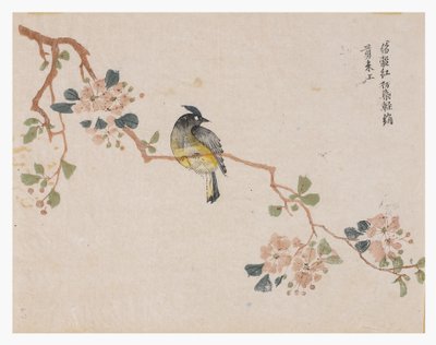 Senfkorngarten von Chinese School