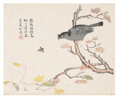 Senfkorngarten von Chinese School
