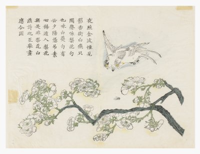 Senfkorn-Garten von Chinese School
