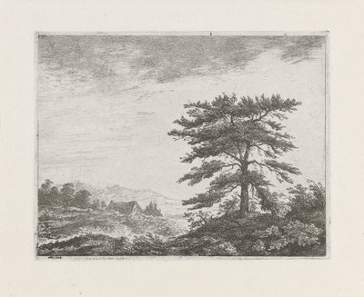 Baum in einer Heidelandschaft von Christiaan Wilhelmus Moorrees