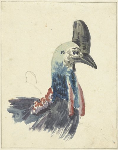 Kopf des Kasuars von Christiaan van Geelen