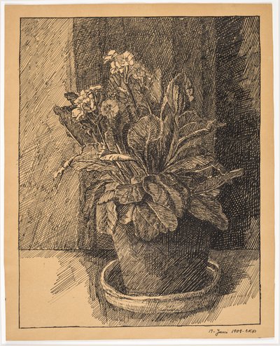 Blumentopf mit Primel von Christian Kongstad Petersen