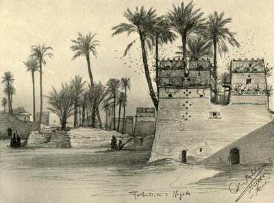 Häuser in Nagada, Ägypten, 1898 von Christian Wilhelm Allers