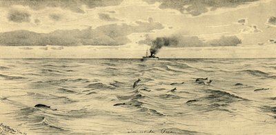 Dampfschiff auf dem Indischen Ozean, 1898 von Christian Wilhelm Allers
