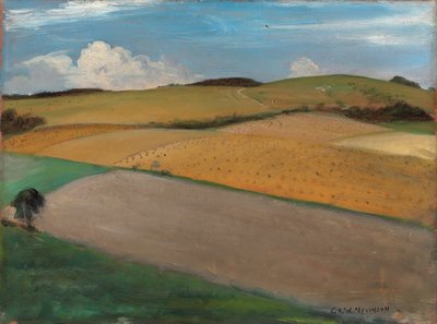 The Trundle bei Goodwood von Christopher Richard Wynne Nevinson