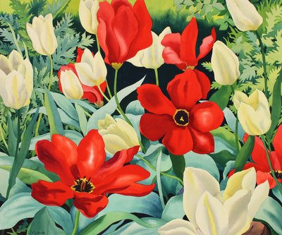 Frühe Tulpen von Christopher Ryland