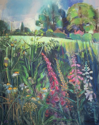 Sommerfeld von Claire Spencer