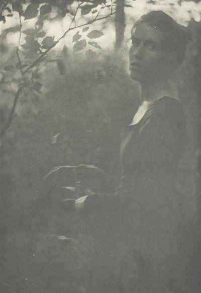 Waldrand, ca. 1899 von Clarence H White