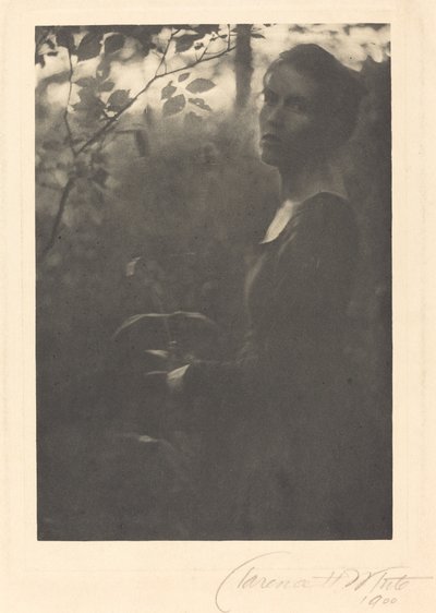 Waldrand, Abend von Clarence H. White