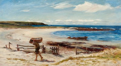 An der Ostküste Schottlands von Colin Hunter