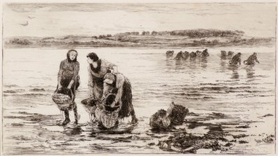 Die Muschelsammler von Colin Hunter
